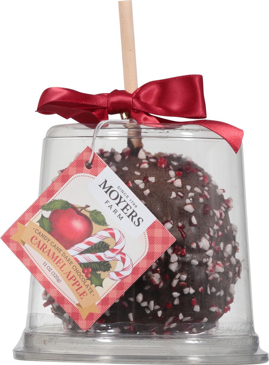 slide 9 of 9, Moyers Candy Cane Dark Chocolate Caramel Apple 11 oz, 11 oz