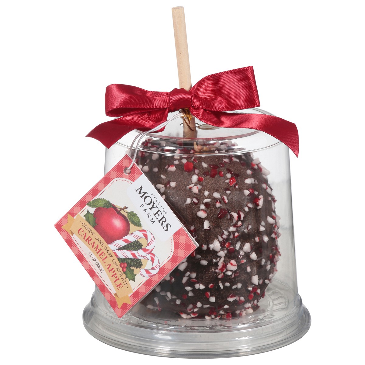 slide 1 of 9, Moyers Candy Cane Dark Chocolate Caramel Apple 11 oz, 11 oz