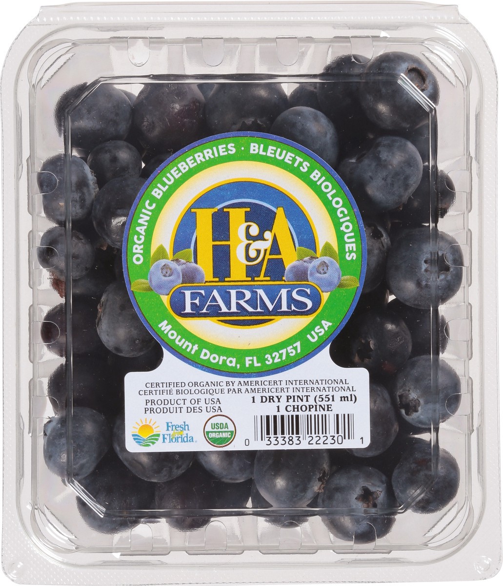 slide 6 of 9, H&A Farms Organic Blueberries 1 pt, 1 pint