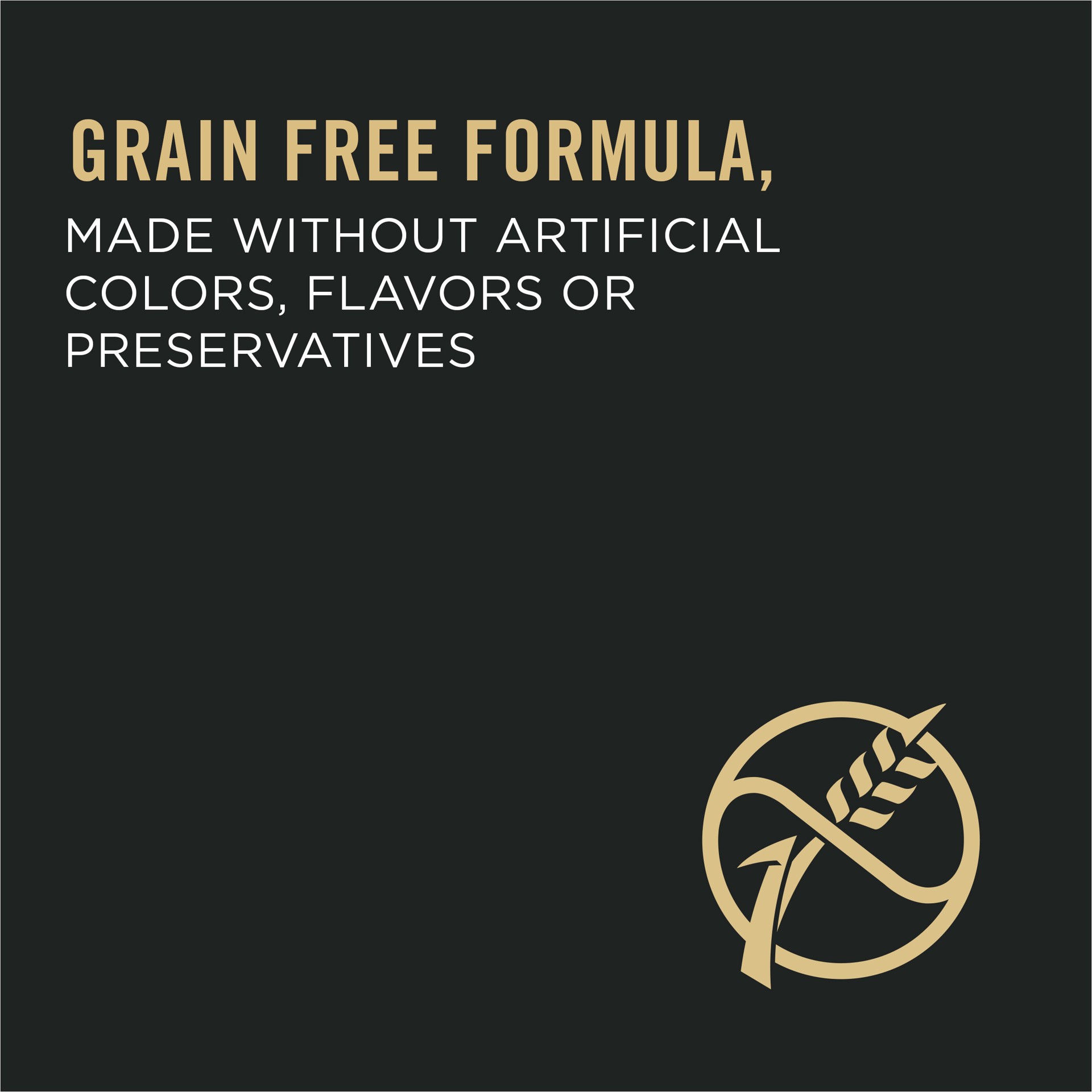 slide 4 of 8, Pro Plan Purina Pro Plan Grain Free, High Protein, Natural Dry Kitten Food, Chicken & Egg Formula, 5.5 lb