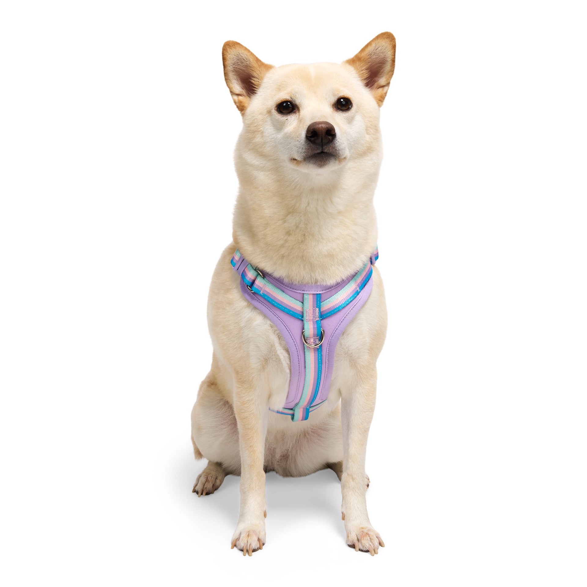 slide 1 of 1, YOULY Comfort Neoprene Dog Harness, Lavender, X-Small, x-small