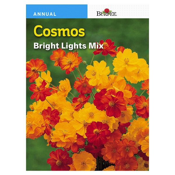 slide 1 of 1, Burpee Cosmos Bright Lights Mix Seeds, 1 ct