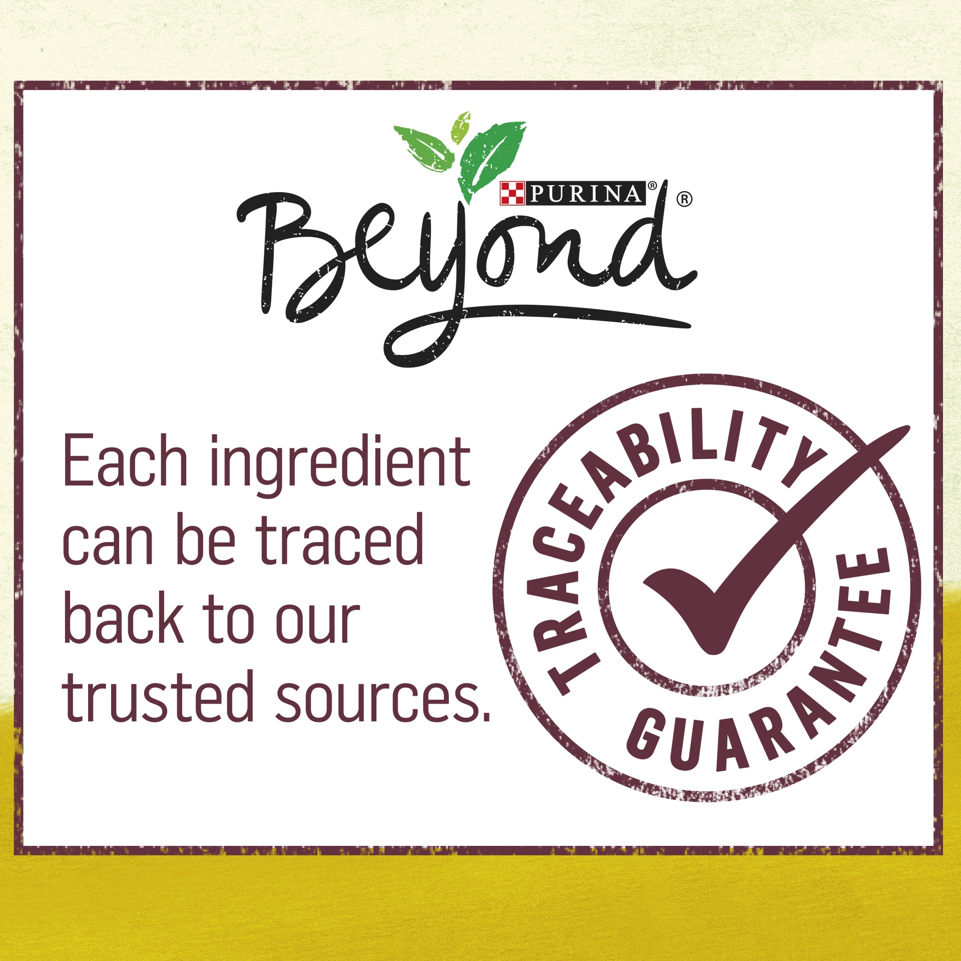 slide 10 of 12, Beyond Grain Free Dog Food Variety Pack, 6 ct; 13 oz