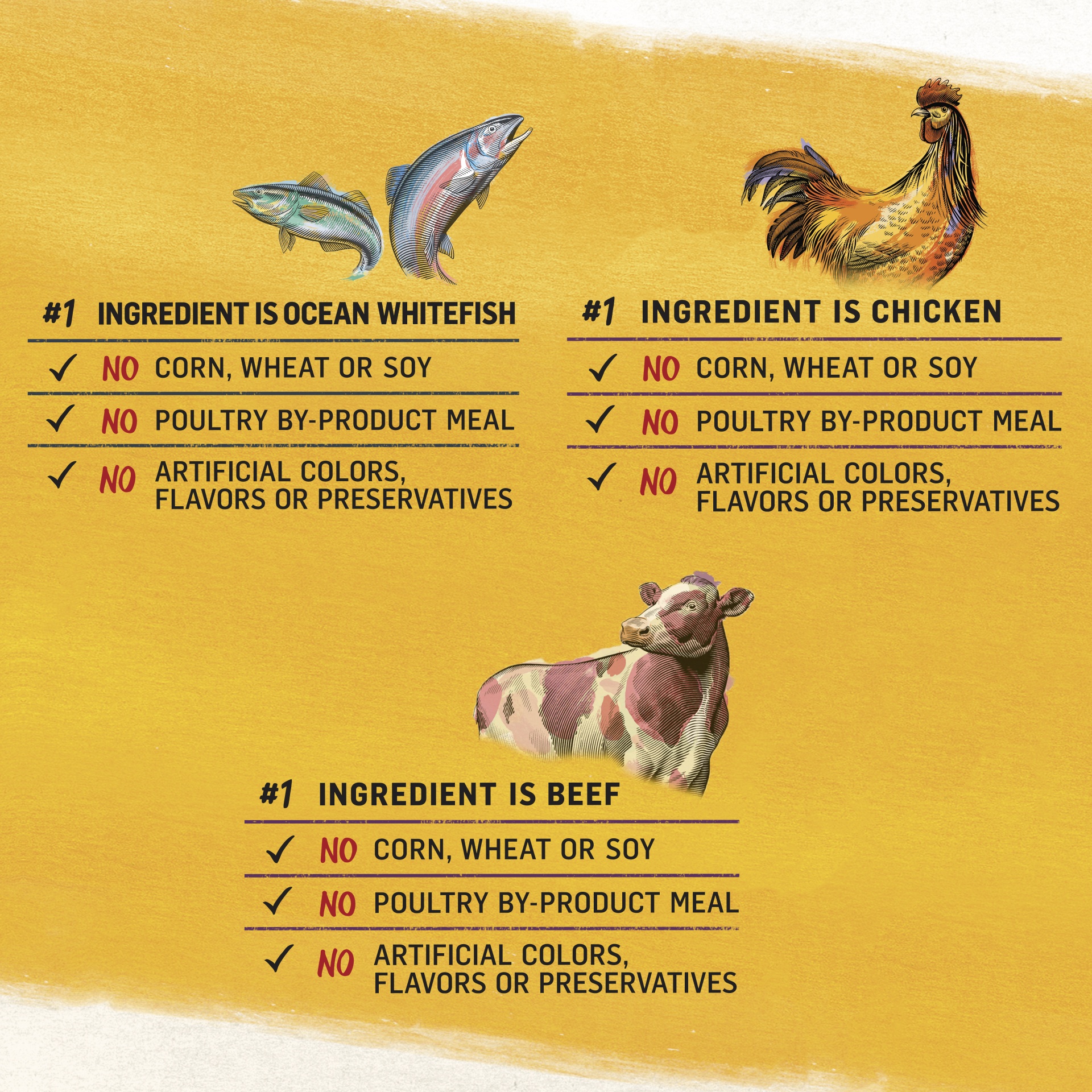 slide 11 of 12, Beyond Grain Free Dog Food Variety Pack, 6 ct; 13 oz