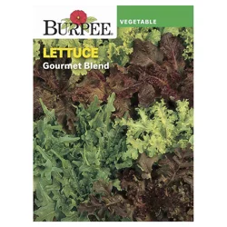 Burpee Lettuce Giant Caesar Seeds
