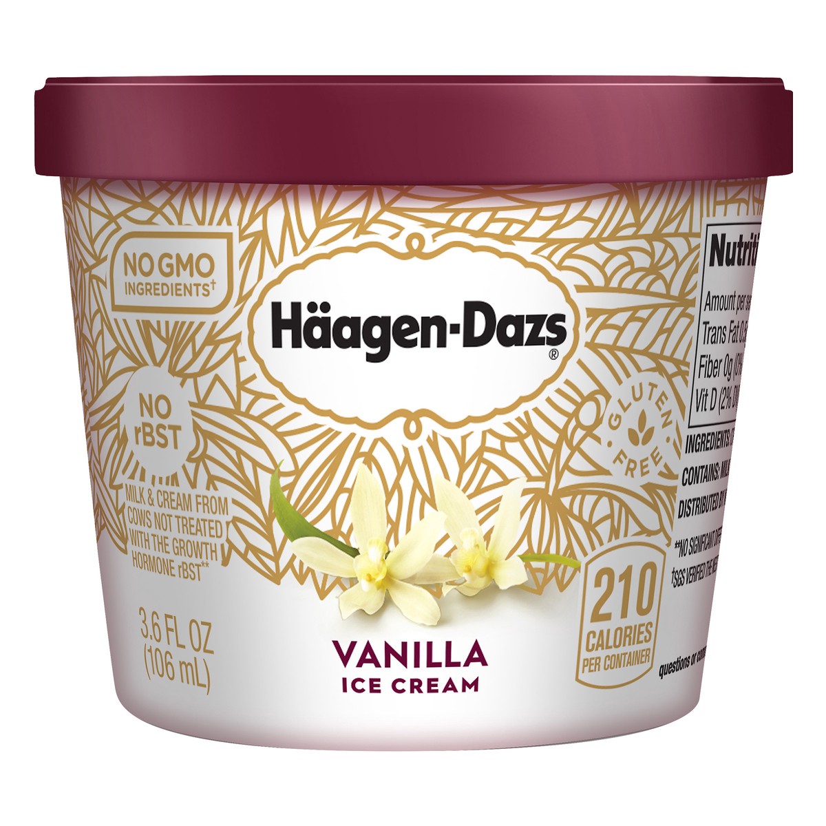slide 1 of 1, Haagen-Dazs Vanilla Ice Cream, 3.6 oz