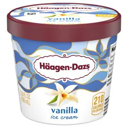 Häagen-Dazs Ice Cream, Vanilla
