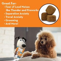 slide 22 of 25, ThunderWunders Calming Dog Chews, 60 ct