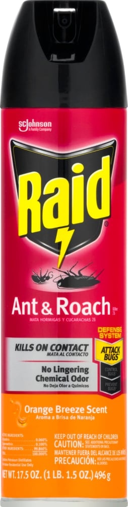 slide 1 of 1, Raid Orange Breeze Scent Ant And Roach Killer, 17.5 oz