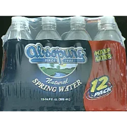 Absopure Spring Water - 12 ct