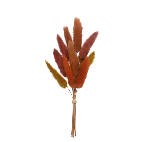 slide 1 of 3, 8.5" Dried Bunny Tail Grass Mini Bundle By Ashland, 8.5 in