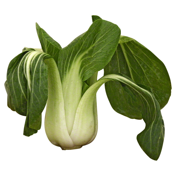 slide 1 of 1, Bok Choy, 1 ct