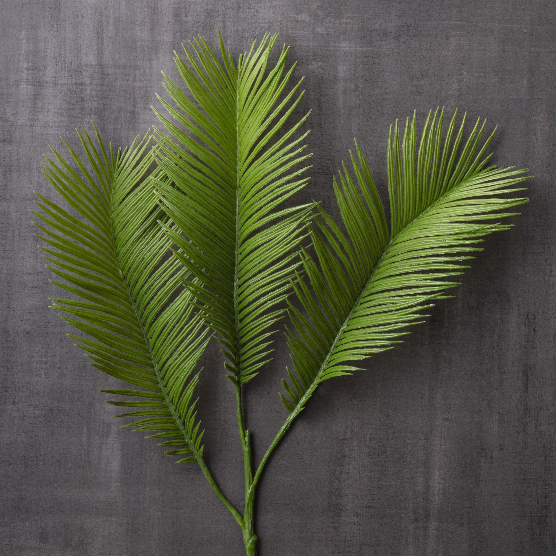 slide 3 of 5, Green Sago Palm Stem By Ashland, 26 in