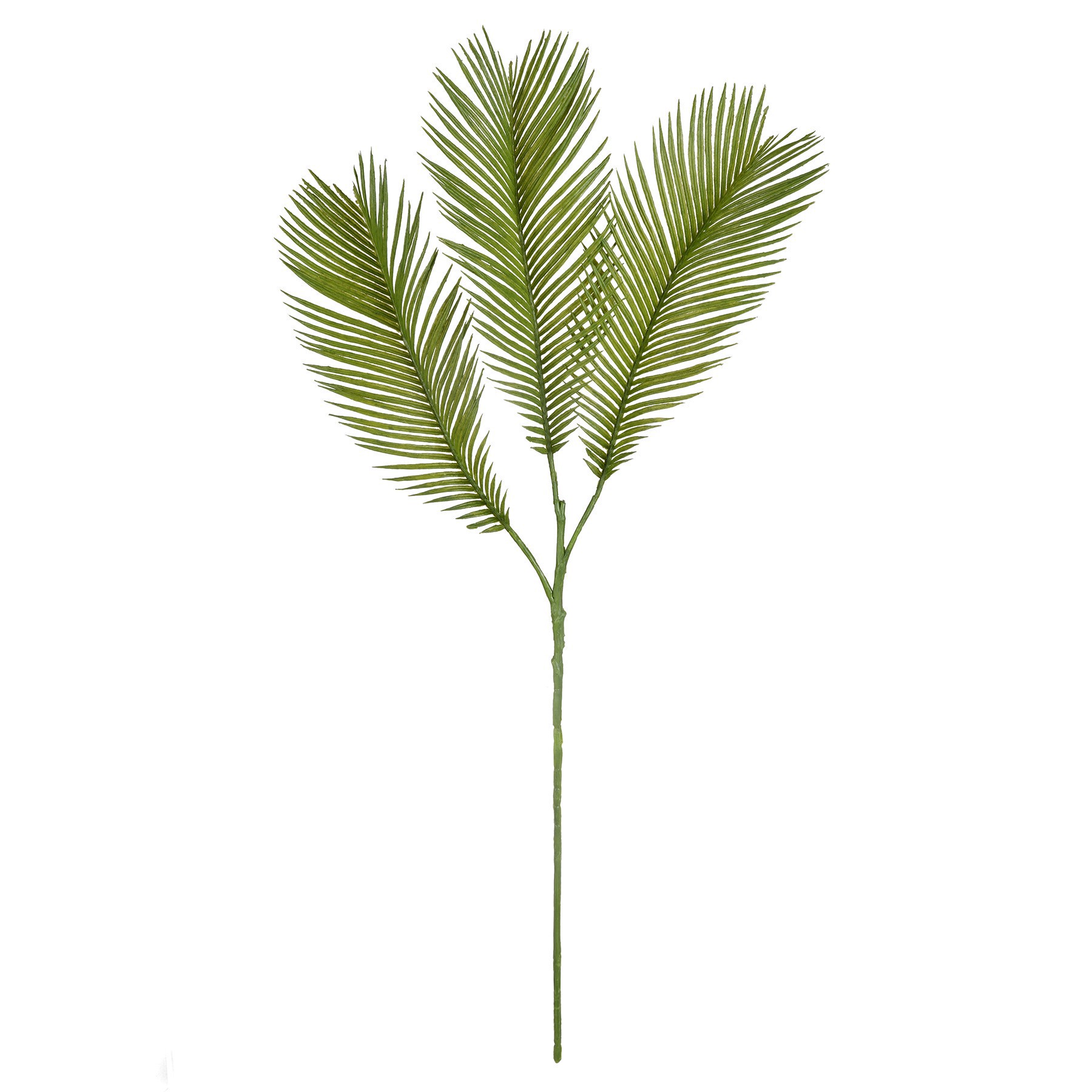 slide 5 of 5, Green Sago Palm Stem By Ashland, 26 in