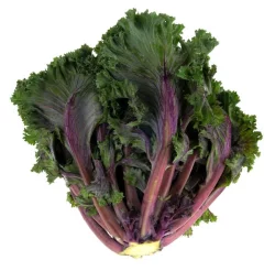 Produce Flowering Kale Bunch