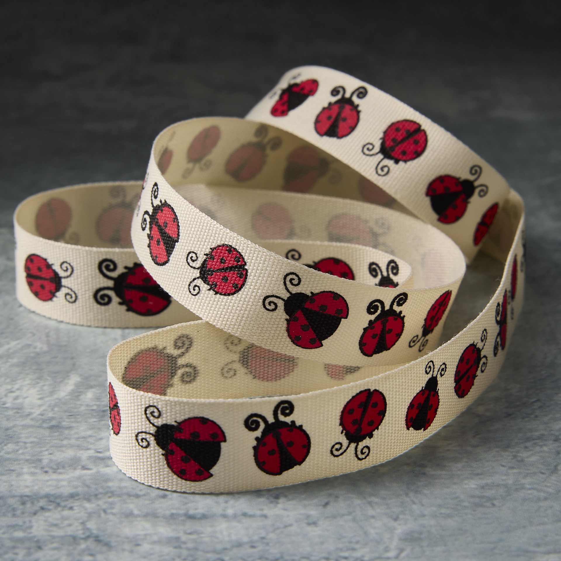 slide 2 of 2, 5/8" X 7yd. Lady Bug Ribbon By Celebrate It, 5/8 in x 7 yd