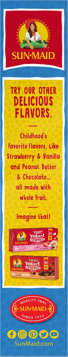 slide 7 of 9, Sun-Maid Mini Snacks Vanilla Yogurt Covered Raisins 10-Count Box/.5oz Pouches, 10 ct; 0.5 oz