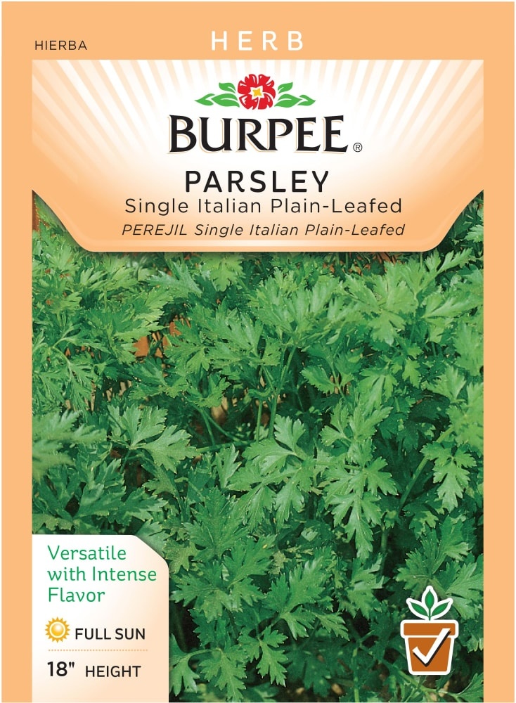 slide 1 of 1, Burpee Italian Single Leaf Parsley Seeds, 1.25 gram