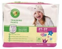 slide 1 of 1, Comforts Training Pants For Girls 2T-3T, 26 ct