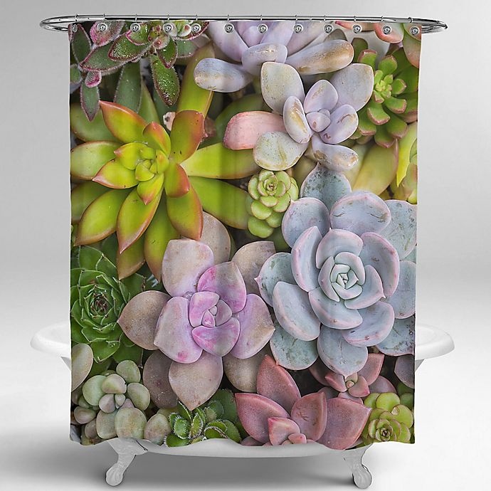 slide 1 of 2, Avanti Photoreal Succulents Square Shower Curtain, 72 in