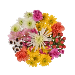 Harmony Bouquet