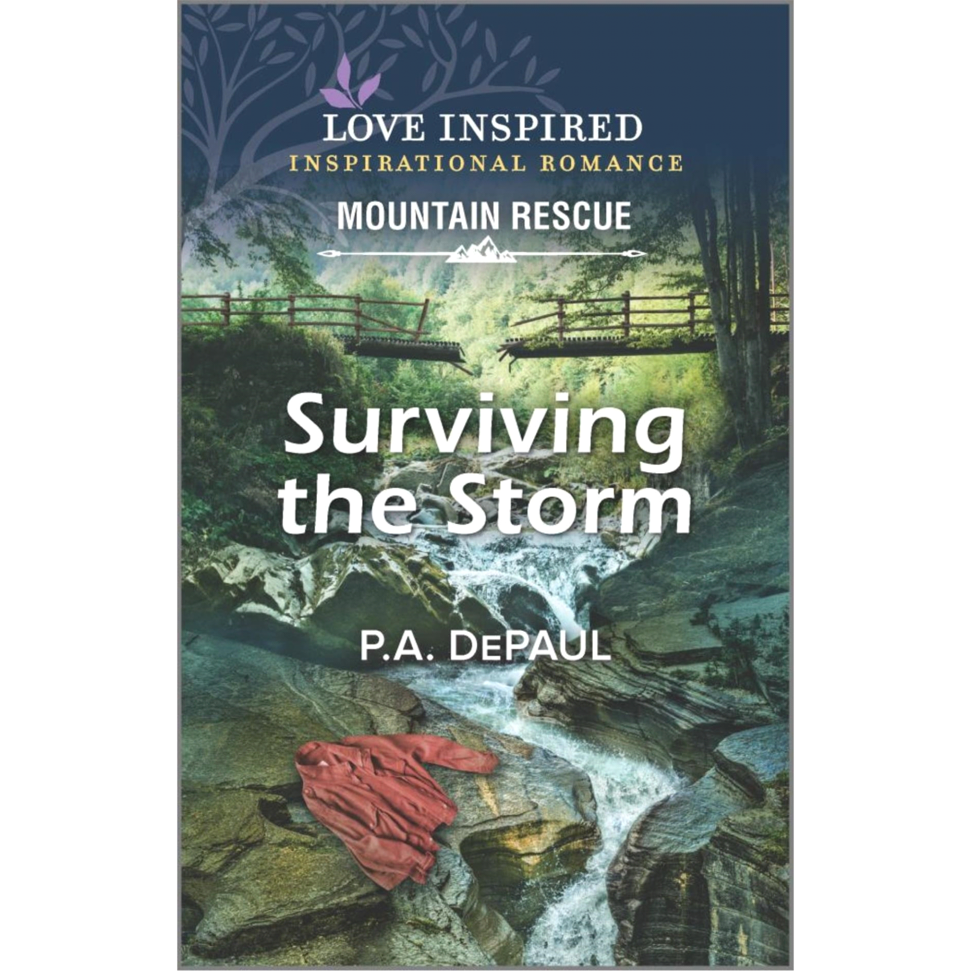 slide 1 of 1, Surviving the Storm By P.A. DePaul, 1 ct