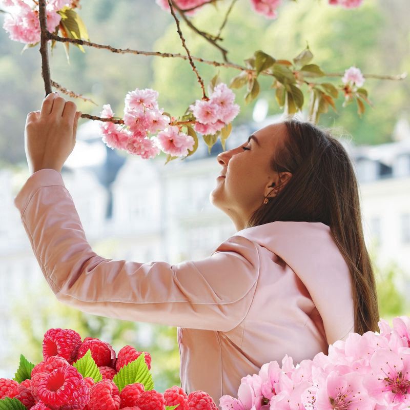 slide 4 of 6, Air Wick Vibrant Scented Oil Air Freshener - Cherry Blossom & Raspberry - 0.67 fl oz/2ct, 2 ct; 0.67 fl oz