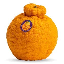 Sumo Citrus® Mandarin Orange