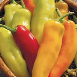 High Mowing Organic Seeds Pepper Hungarian Hot Wax Seeds