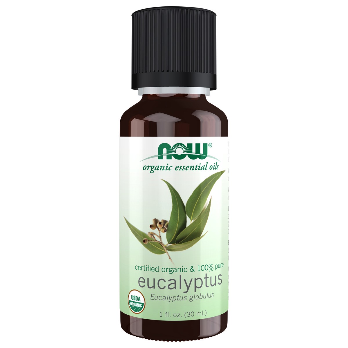 slide 1 of 1, NOW Eucalyptus Globulus Oil, Organic - 1 fl. oz., 1 fl oz