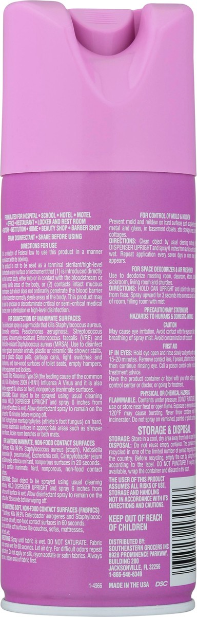 slide 9 of 13, Se Grocers Disinfect Spry 12.5, 12.5 oz