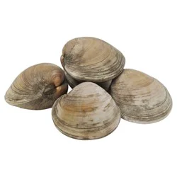 Market District Clams, Fresh Middle Neck, Farm Raised USA
