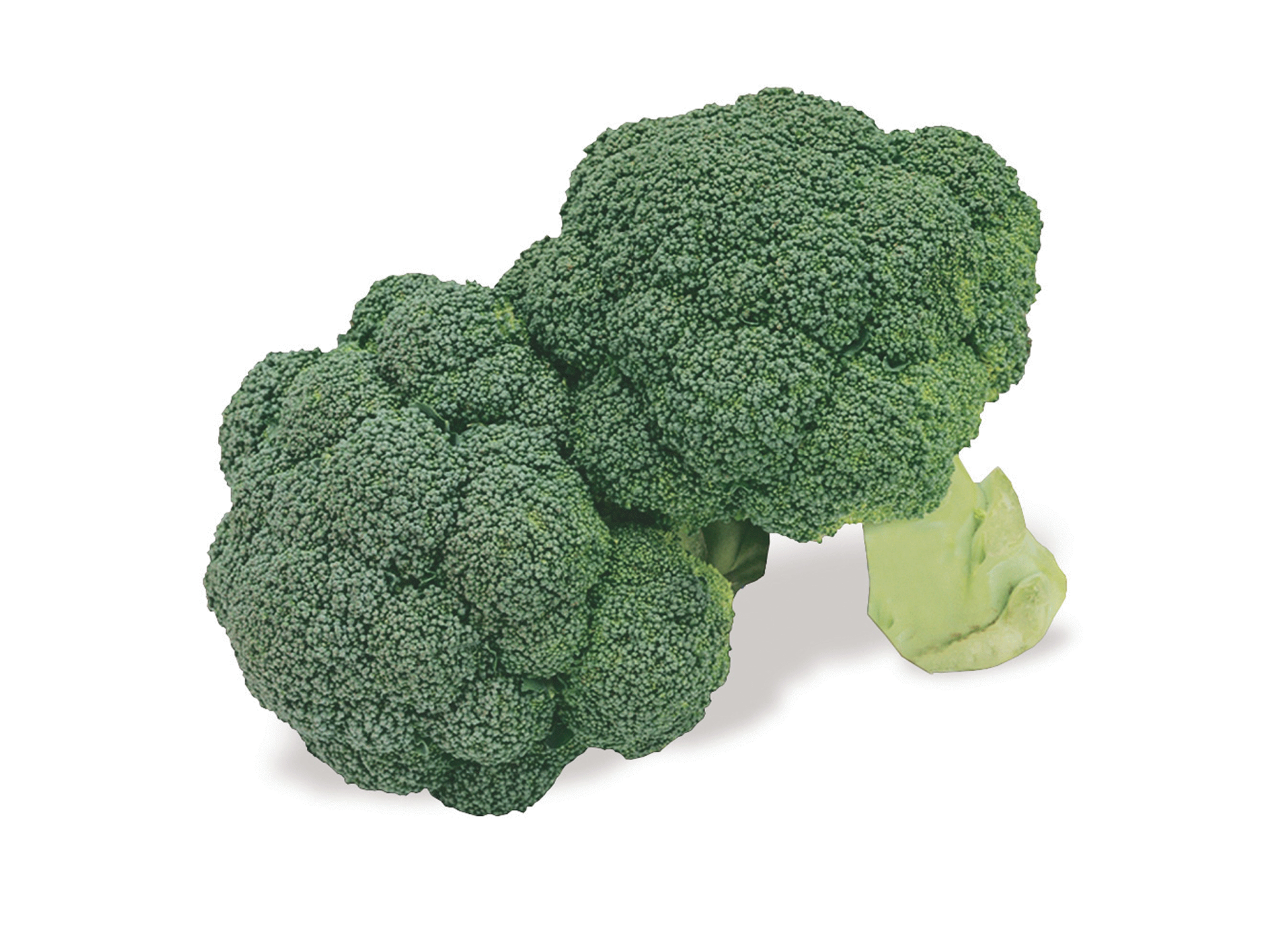 slide 1 of 1, Pacific Organic Broccoli, per lb