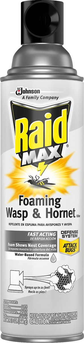 slide 2 of 6, Raid Foaming Wasp & Hornet Killer 13 oz, 13 oz