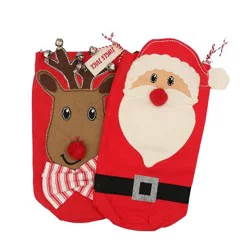 Santa & Reindeer Canvas