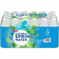 Fry's Natural Spring Water - 24 ct; 16.9 fl oz