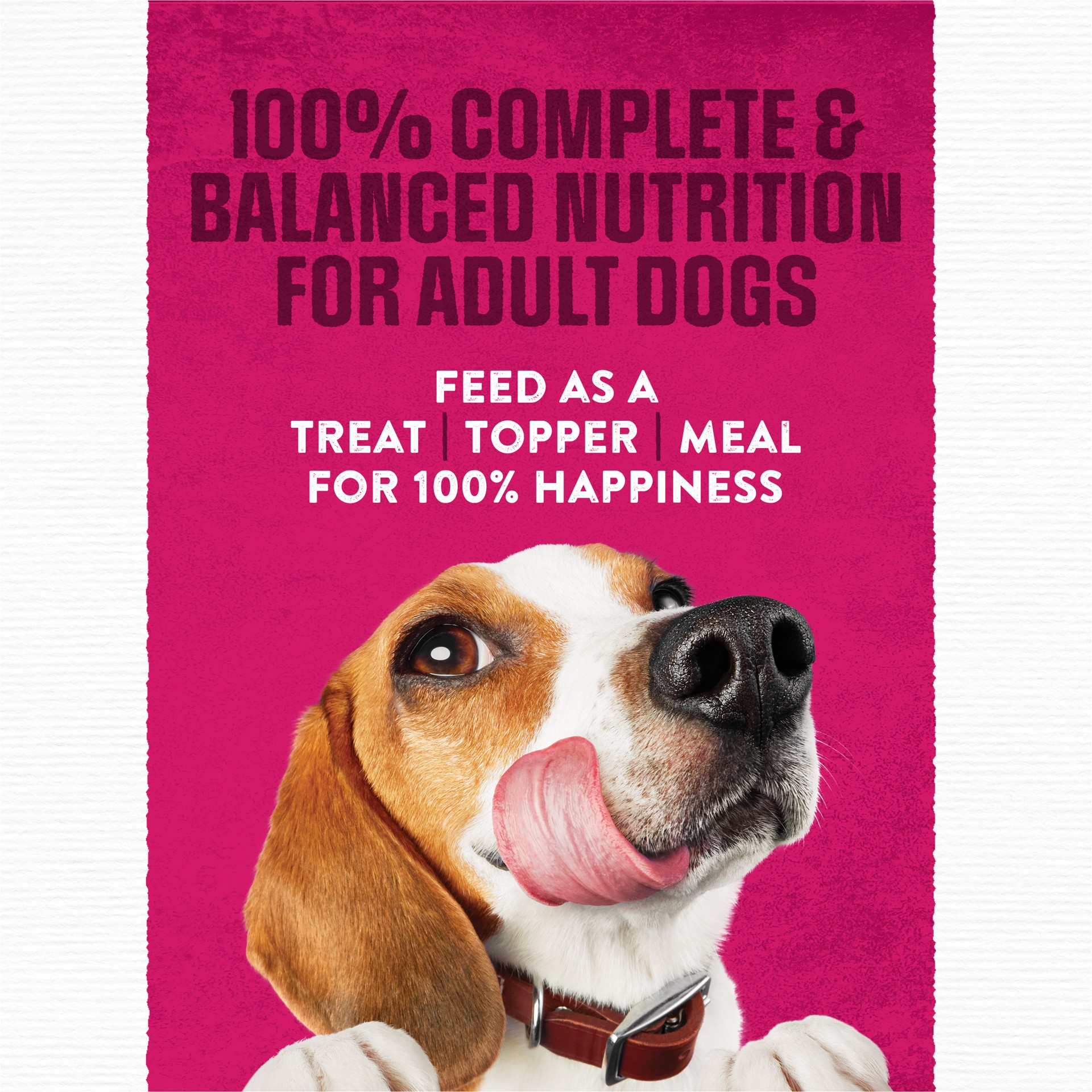 slide 7 of 9, Moist & Meaty Purina Moist and Meaty Steak Flavor Soft Dog Food Pouches, 216 oz