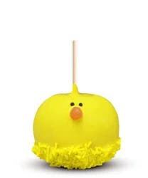 Moyer Farms Chick Caramel Apple