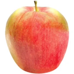 Ambrosia Apples