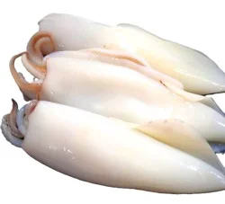 Kowalskis Calamari - Cleaned