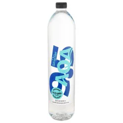 Talking Rain TR AQA Alkaline Water 1 L (33.08 oz) Bottle