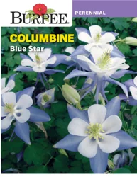 Burpee Columbine Blue Star