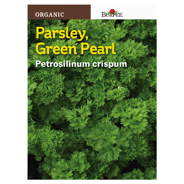 slide 1 of 1, Burpee Organic Parsley Green Pearl Seeds, 1 ct