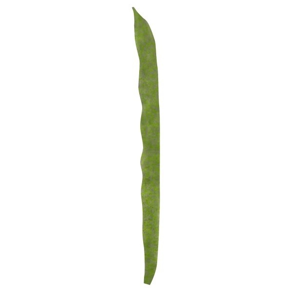 slide 1 of 1, Kentucky Pole Green Beans, 1 ct