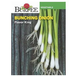 Burpee Onion, Flavor King