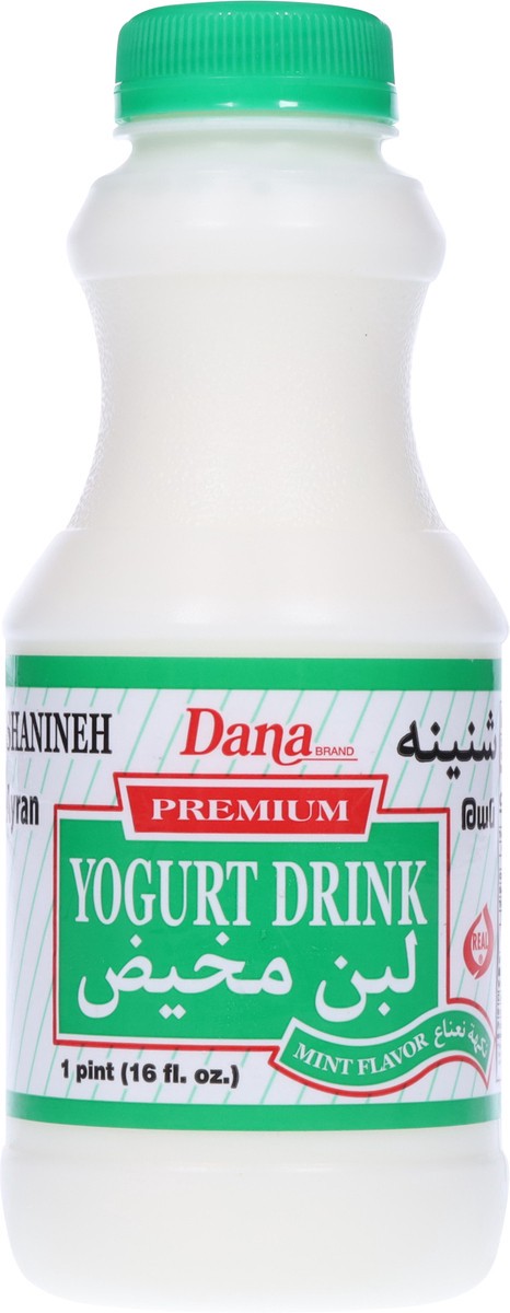 slide 2 of 13, Dana Premium Mint Flavor Yogurt Drink 1 pt, 1 pint