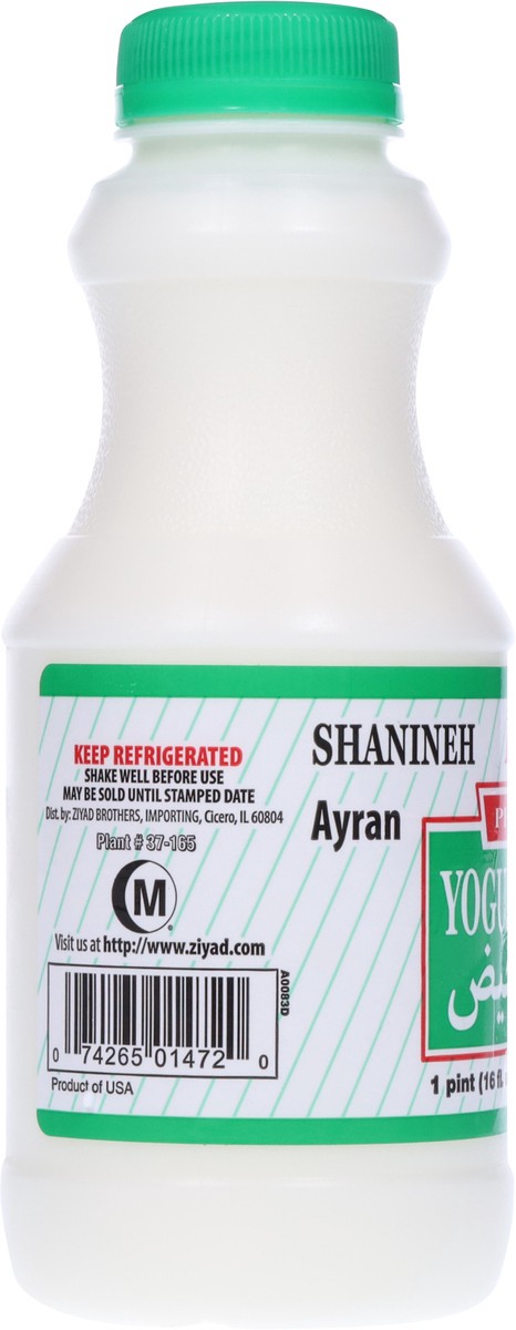 slide 6 of 13, Dana Premium Mint Flavor Yogurt Drink 1 pt, 1 pint