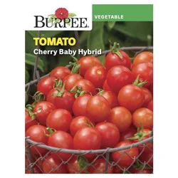 Burpee Tomato, Cherry Baby Hybrid