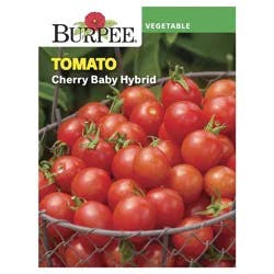 Burpee Tomato, Cherry Baby Hybrid