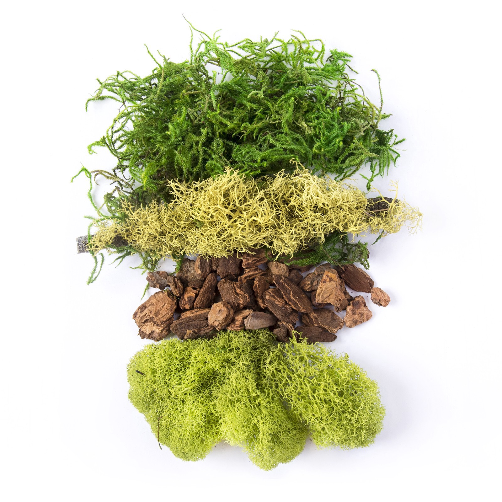 slide 4 of 4, Supermoss Preserved Mixed Moss, 2 oz